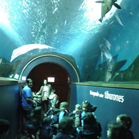 wat te doen in sevilla kinderen acuario de sevilla