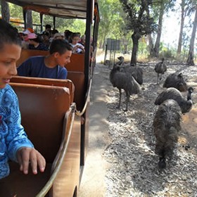 wat doen zien in sevilla kinderen la reserva del castillo de las guardasa